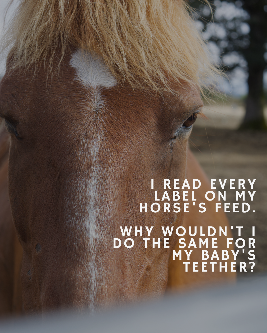 What's Really in Your Baby's Teether? (Most Moms Don't Know)