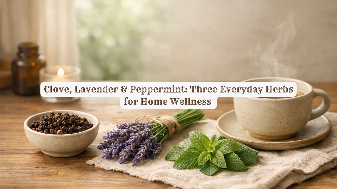 Clove, Lavender & Peppermint: Three Everyday Herbs for Home Wellness