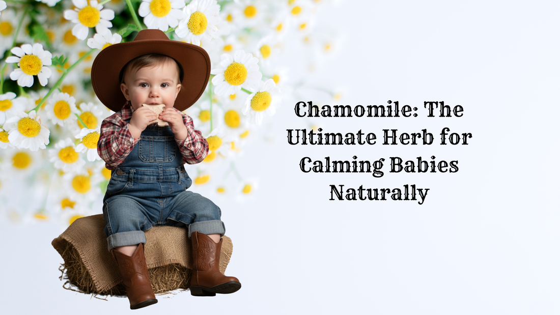 Chamomile: The Ultimate Herb for Calming Babies Naturally