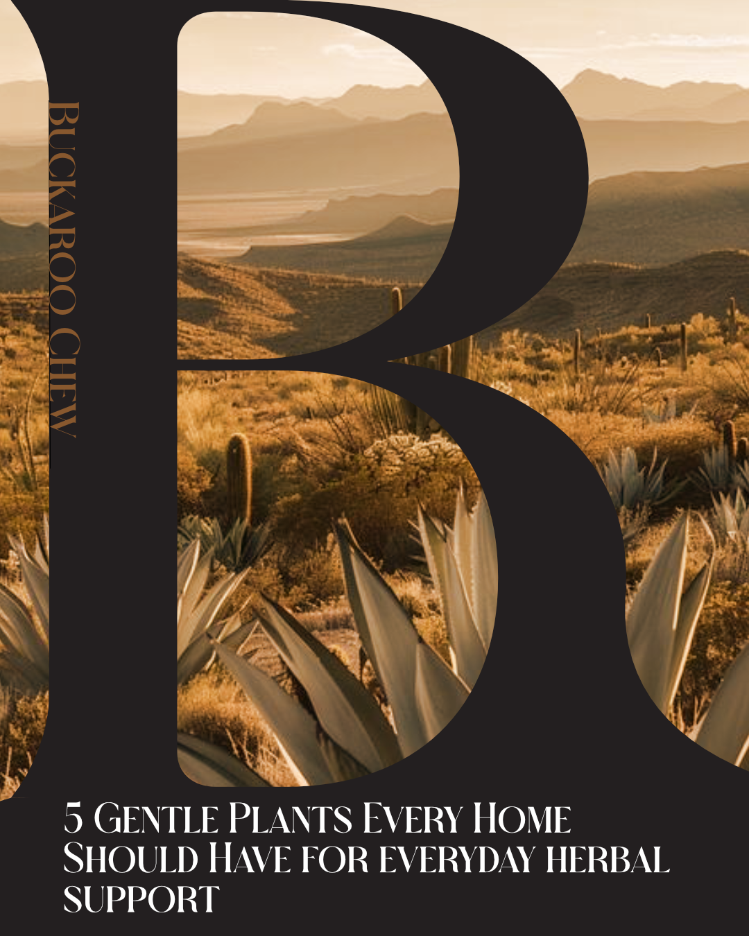 A simple herbal starter guide for your home