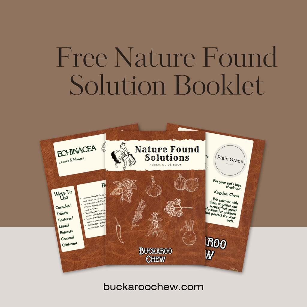 Sweet Dreams Bundle (2 chews, 1 chamomile tallow, and 1 Clove+Chamomile) + Booklet