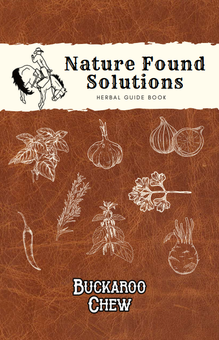 Sweet Dreams Bundle (2 chews, 1 chamomile tallow, and 1 Clove+Chamomile) + Booklet